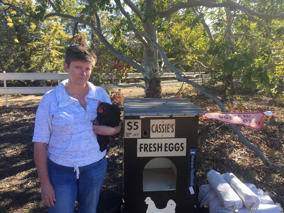 VICTIM OF CRIME: Cassie O'Neill has been overwhelmed by the generosity of strangers on social media after thieves are believed to have taken her precious chooks in the dark of night. Photo: RYAN YOUNG