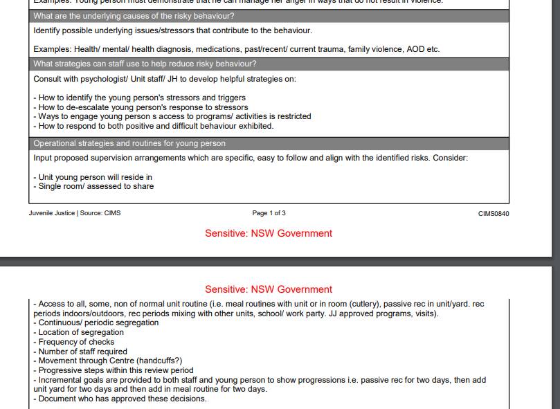 A section of the three page detainee risk management plan document Juvenile Justice said was "updated" in the case of each young person involved in the May 1 incident. IMAGE: Screenshot from document submitted to NSW Parliamentary commitee.