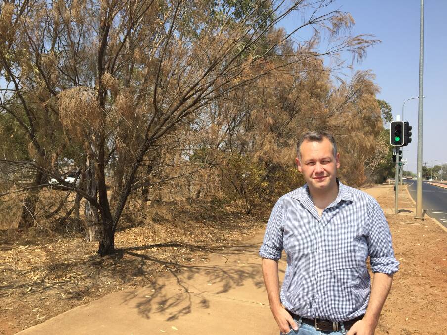 COST OF CLIMATE CHANGE: Dubbo mayor Ben Shields says millions of dollars will need to be spent replacing trees which have died due to drought. Photo: RYAN YOUNG