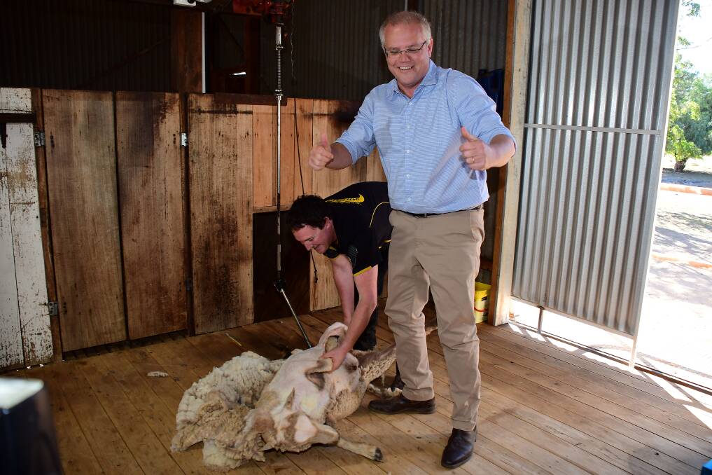 THUMBS UP: Prime Minister Scott Morrison learning about shearing sheep during his last visit to Dubbo in April. Photo: BELINDA SOOLE