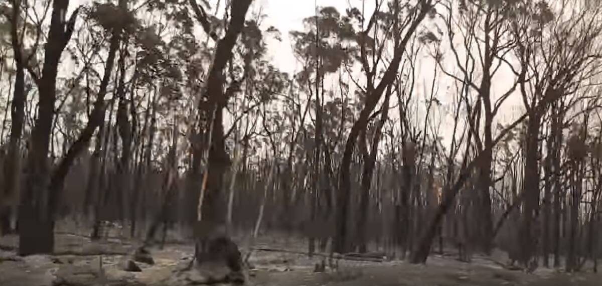 DEVASTATION: The South Coast after the bushfires. IMAGE: YOUTUBE