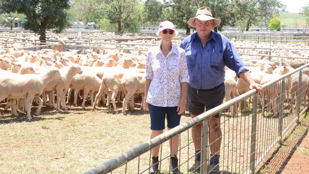 Julie Hunter, Bloomfield, Mendooran, paid the $242 top money for each of 125 first-cross ewes September/October 2017 drop, December sorn, mulesed, in lamb to Poll Dorset rams for a March lambing. With her is the breeder, Derek Rhodes, Hillview, Dunedoo.