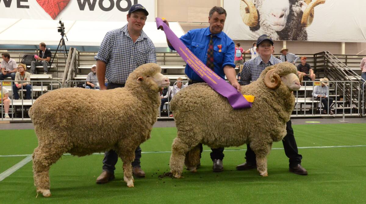 Langdene stud, Dunedoo, took out the coveted National Merino Pair title for the second consecutive year. Ben Simmons holds the ram while Paddy Reid holds the ewe sashed by Dew Chapman, Hinesville stud, Delegate.