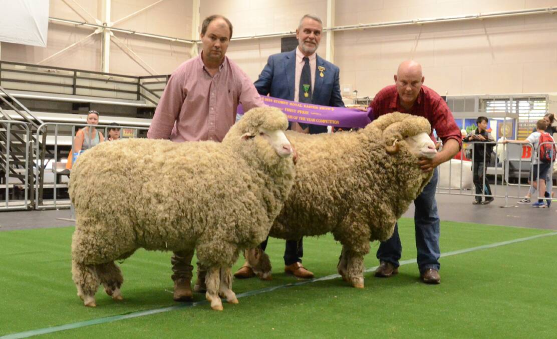 Nerstane stud of the McLaren family, Woolbrook, took out the winning RAS Merino Pair of the Year award for March shorn entries. Jock McLaren holds the ewe while his brother, Hamish holds the ram with both animals being sashed by RAS sheep and wool committee chairman, Greg Andrews.
