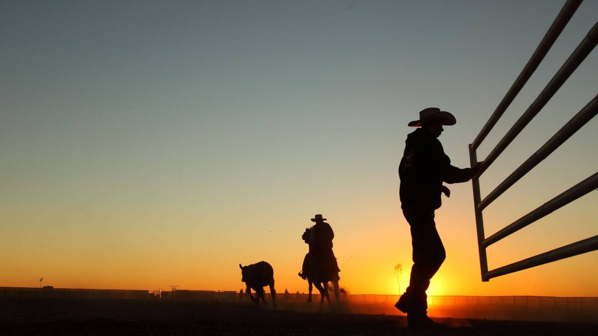WEBINAR: Australian Red Cross launches online series for drought-affected communities. Photo: FILE