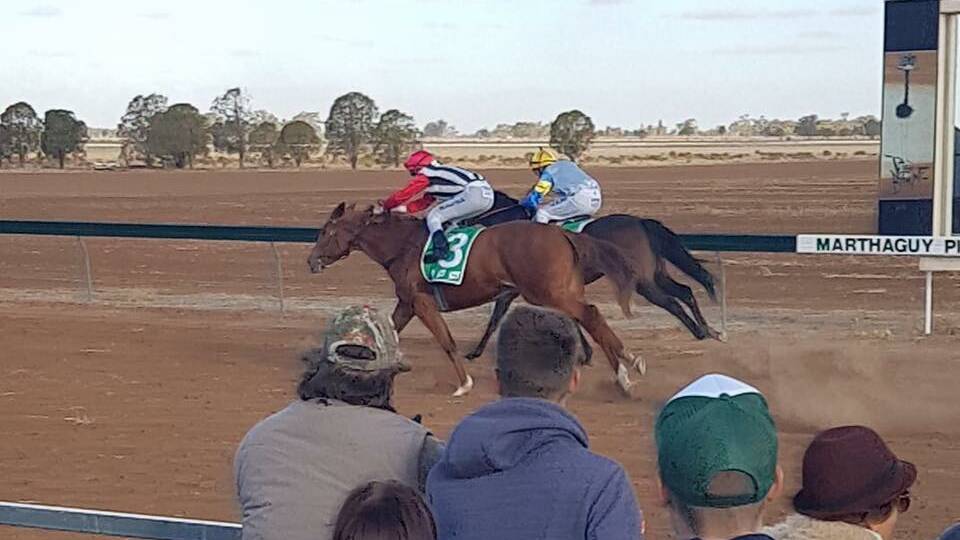 NOTHING BETWEEN THEM: The dead heat between Rehanaat (Parkes) and Track Flash (Moree) on Saturday. Photo: Marthaguy Picnic Race Club