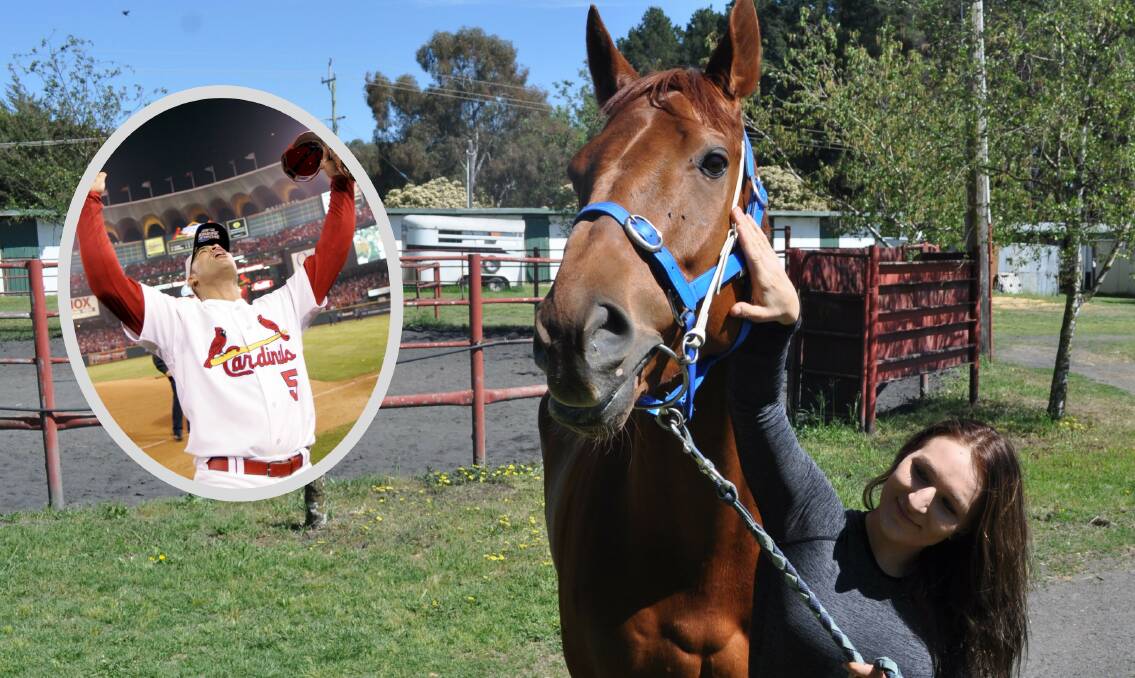 AFTER A LEGEND: Pujols and jockey Katie Jenkinson ahead of Friday's TAB meeting at Bathurst, the five-year-old gelding by Magic Albert is named after baseballer Albert Pujols (insert). 