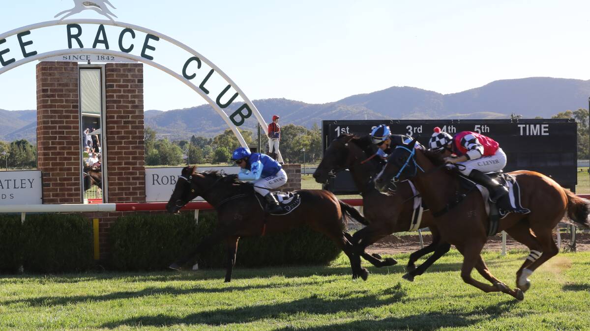 HOME AND HOSED: Our Dasha, with Greg Ryan on board, saluted in the Mudgee Cup Day Sprint on Friday, edging Cameron Crockett's Nictock. Photo: SIMONE KURTZ