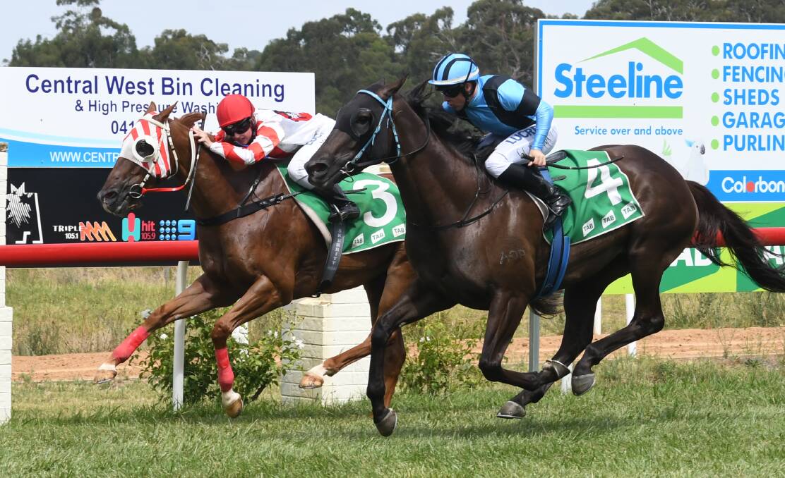 TOE-TO-TOE: Oskastar (inside) battles Prince of Thebes at Orange in January - the former has been nominated for Saturday's Gooree Park Gooree Cup. Photo: JUDE KEOGH