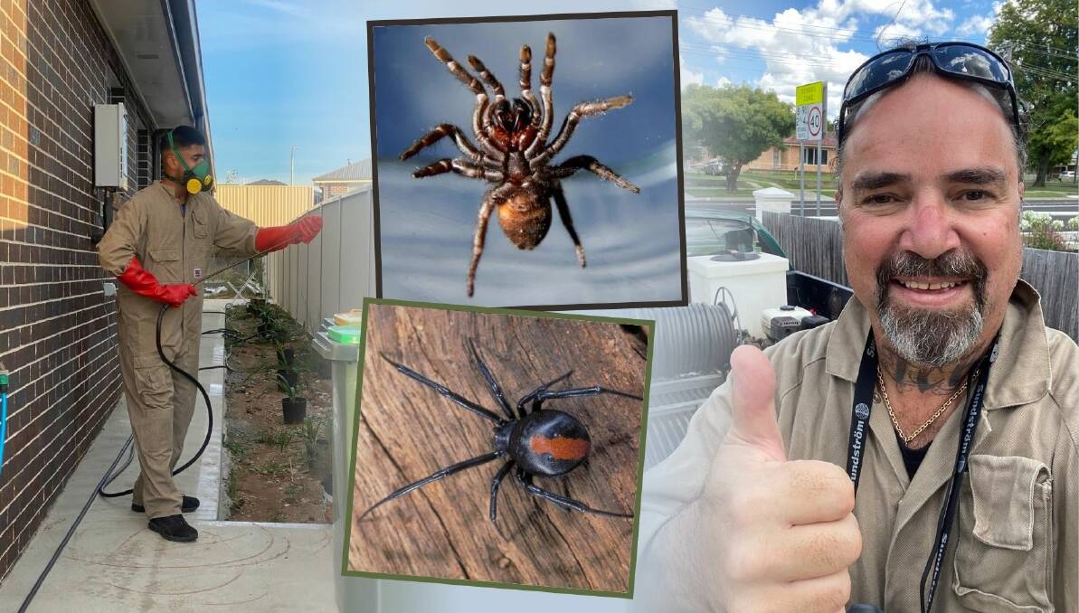 LIVING THE DREAM: Anthony Compton exterminates deadly house-dwellers, like the Funnel-Web and Redback spiders, during Central West's 'spider plague' with his dad and owner of Budget Pest Control & Building Repairs, Carl Compton. Photo: FILE.