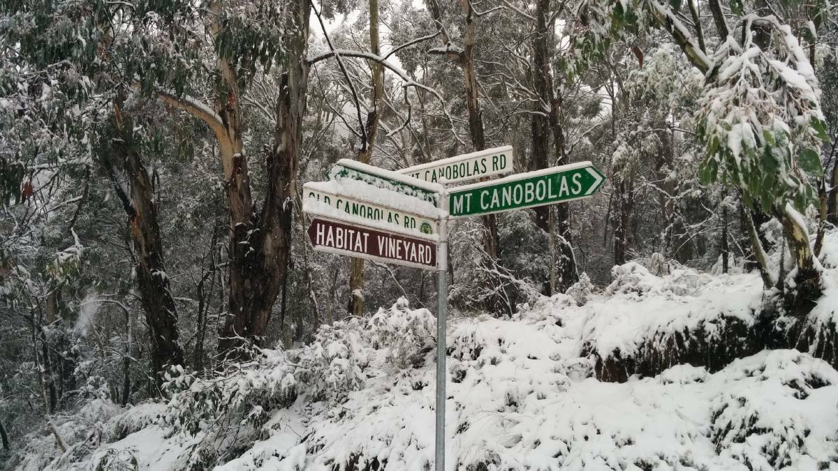 PREDICTED: Snow is predicted to fall on Mount Canobolas on Saturday morning. Photo: FILE