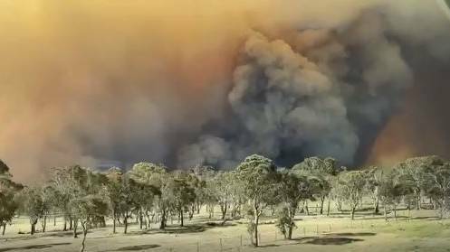  Firefighters spent weeks battling the massive Guyra Road fire at Ebor, which was deliberately lit. Photo: Fire and Rescue NSW Armidale
