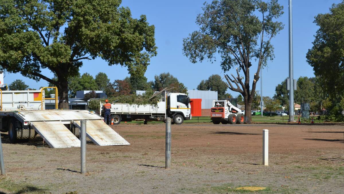 Council staff working on the removal of trees at Victoria Park this week. Photo: FAYE WHEELER