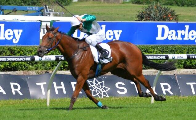 Blake Shinn rides Free Standing to victory in the Country Championships final at Randwick on Saturday.