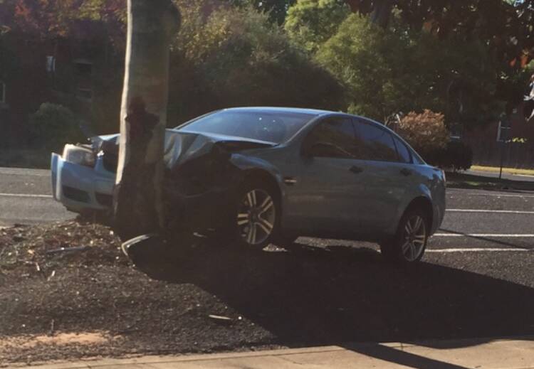 CRUNCH: A stolen car was left abandoned after hitting a tree in Gipps Street on Thursday afternoon. Photo: CONTRIBUTED