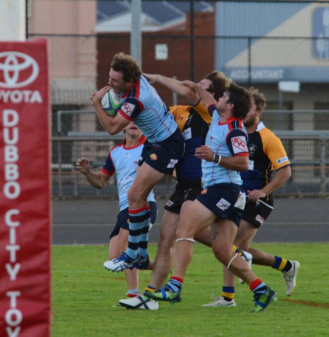 AIRBORNE: Brad Pugh in action for the Dubbo Kangaroos during their home clash against CSU earlier this season.