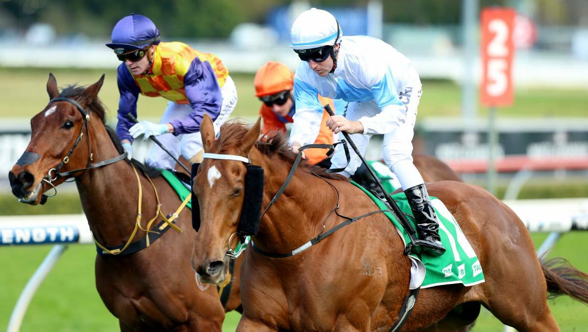 Galaxy Warrior (blue sleeves and cap) is among the nominations for Saturday's Anniversary Highway (1400m) at Randwick.