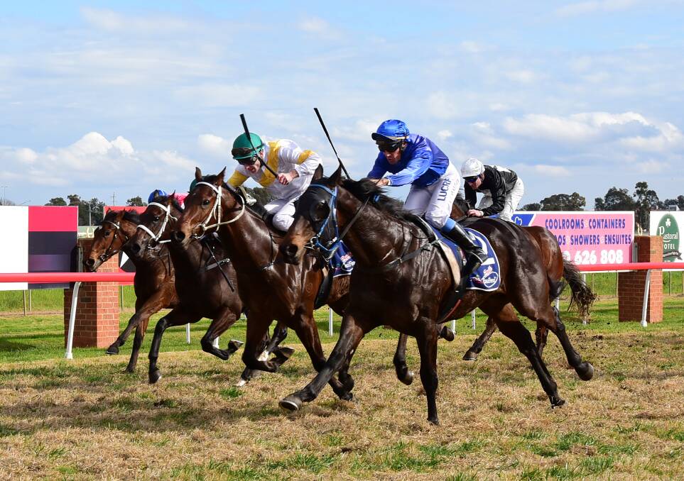 RETURNING: Bill 'N' Eve (blue colours) wins the 2015 Silver Goblet at Dubbo. Photo: BELINDA SOOLE