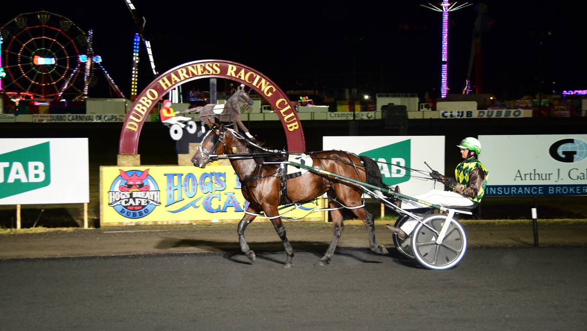 My Casino Belle comes back to scale after winning the Red Ochre Classic. Photo: AMY McINTYRE