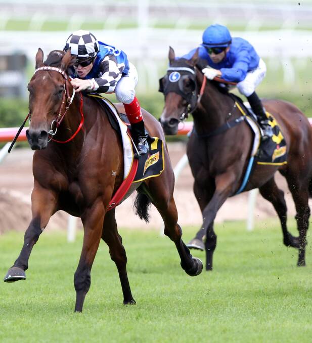 Big Duke will take another step towards a possible Melbourne Cup berth when he runs at Randwick on Everest Day.