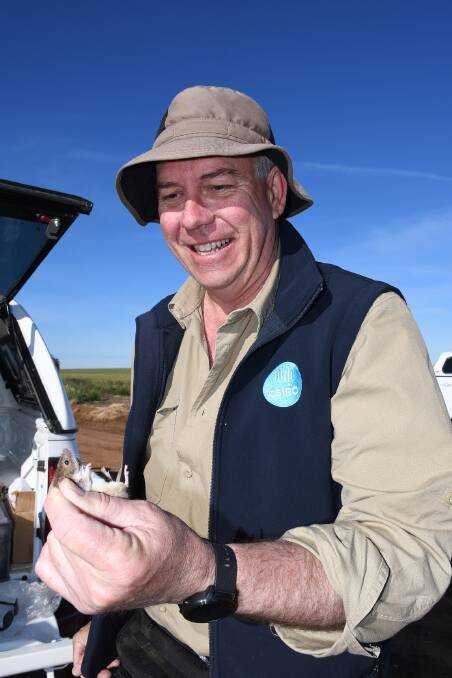 CSIRO mouse researcher Steve Henry.
