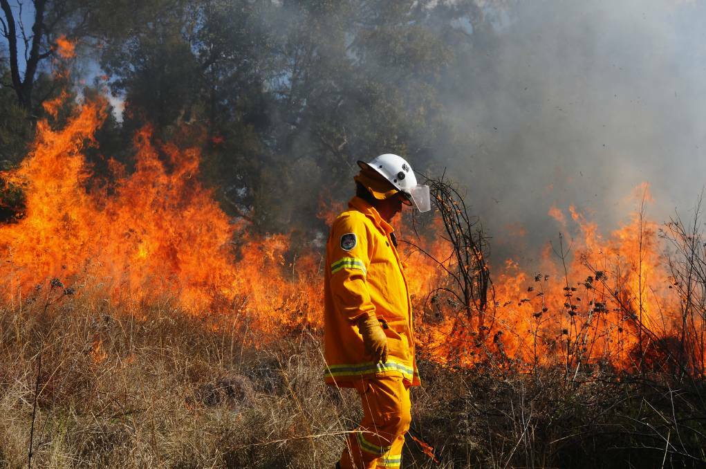 FIRES PREDICTED: Rural Fire Service volunteer monitors burning of grassland on Brummagem Road 2012. Photo: BELINDA SOOLE