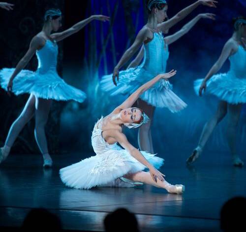 DANCE PHENOMENON: The Imperial Russian Ballet Company Swan Lake production. Photo: SUPPLIED. 