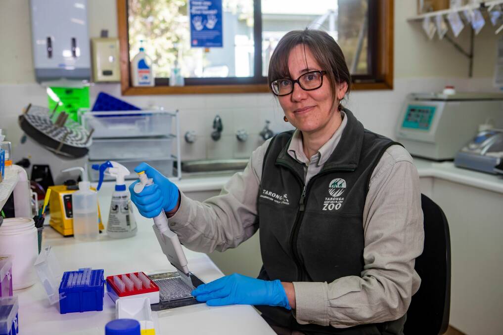 THREE NEW SPECIES ADDED: Taronga's Senior Reproductive Biologist Dr Rebecca Hobbs reflects on team's recent efforts. Photo: CONTRIBUTED. 