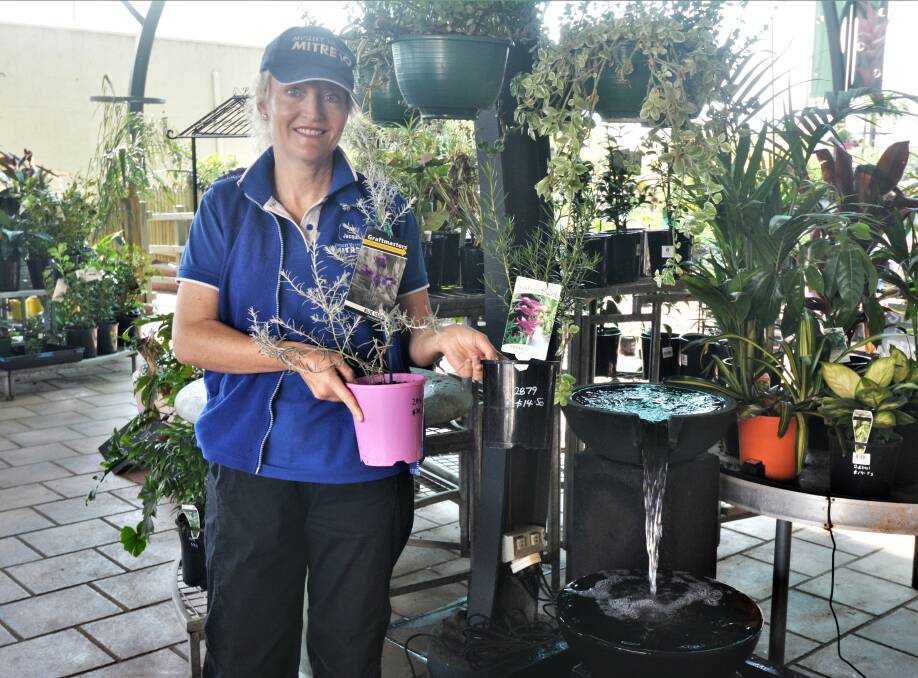EMU BUSH: Brennan's Mitre 10 horticulturist Jacqueline Reilly reveals her favourite drought-resilient plant and tips for keeping gardens alive while staying water wise. Photo: TAYLOR DODGE. 