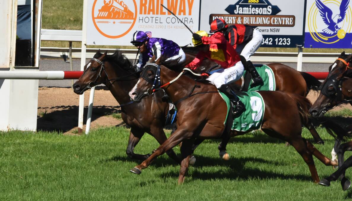 Gallery: ATHENA'S LAD WINS COWRA CUP. Pictures: Andrew Fisher