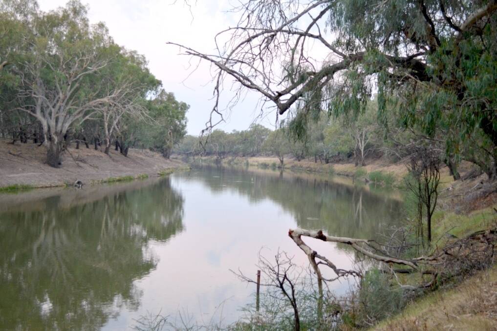Looking east along the Darling River at Bourke. Photo: THE LAND