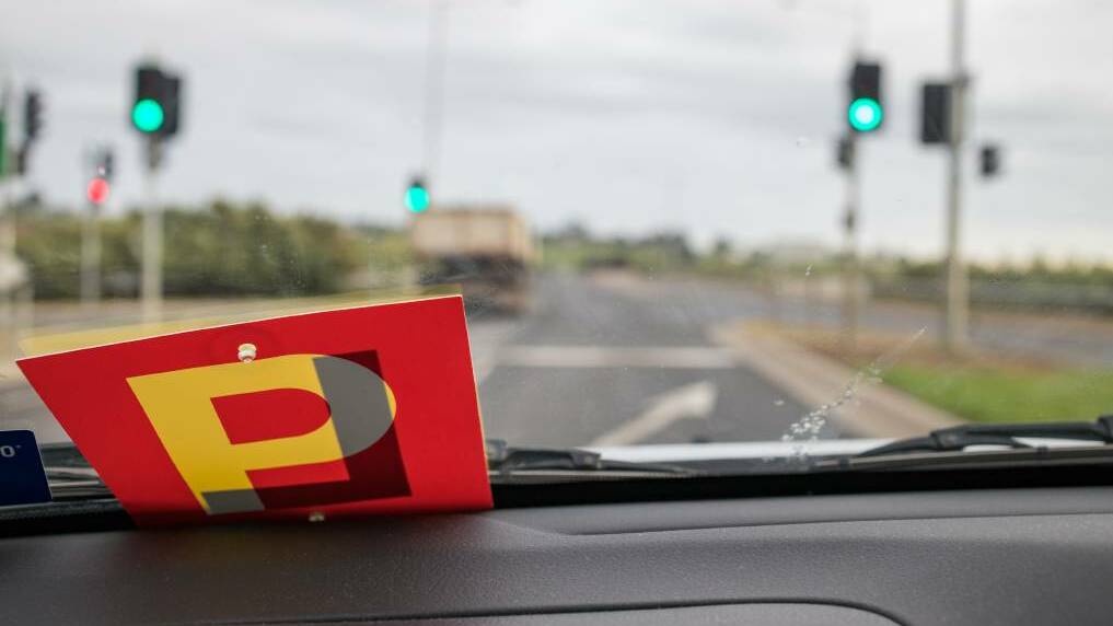 Learner driver caught behind the wheel while suspended and on parole