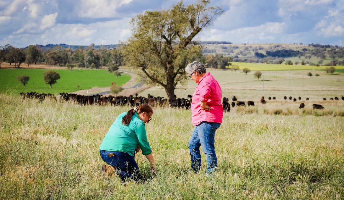 The program is designed to share knowledge and build drought and climate resilience in rural communities throughout Australia. Photo: FILE