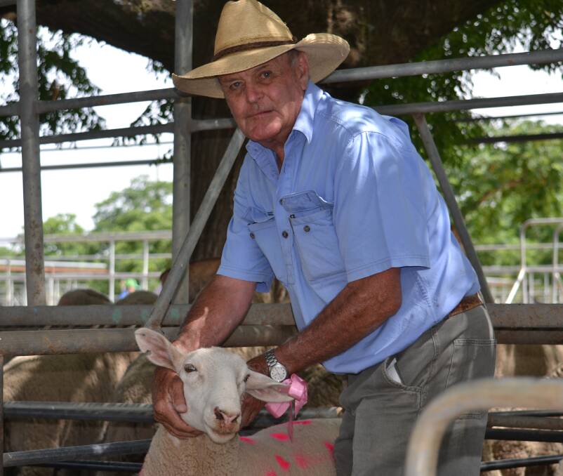 Ewe Beauty: Auctioneer Peter Cruikshank with one of the pen of sheep sold to raise money for The McGrath Foundation. Photo: CRAIG THOMSON.