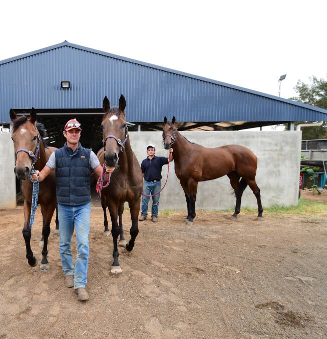 Success: Clint Lundholm with horses from his successful training facility. Photo: BELINDA SOOLE.