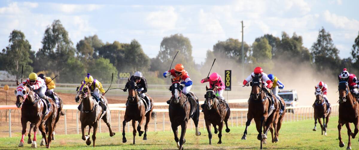 RACING: Dubbo Turf Club's Vince Gordon said the high quality of the horses across Friday's eight race meet is due to the consistent surface and reliability of the track.