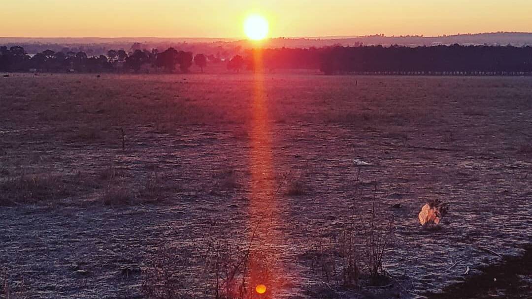26-degree days on the horizon for Dubbo early this week