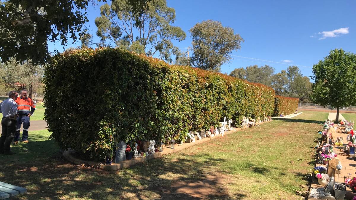 Council worried improving the Dubbo cemetery might upset some people