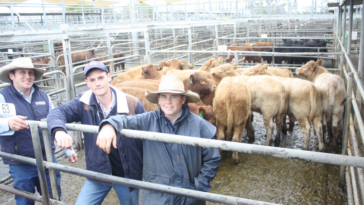 Richardson and Sinclair auctioneer Justin Sanderson with vendor Nick Williams, Terra Pastoral, Warren, and Joe Sinclair also from Richardson and Sinclair, Dubbo. The Charolais/Shorthorn heifers sold for $1600 a head. Photo: Rebecca Cooper