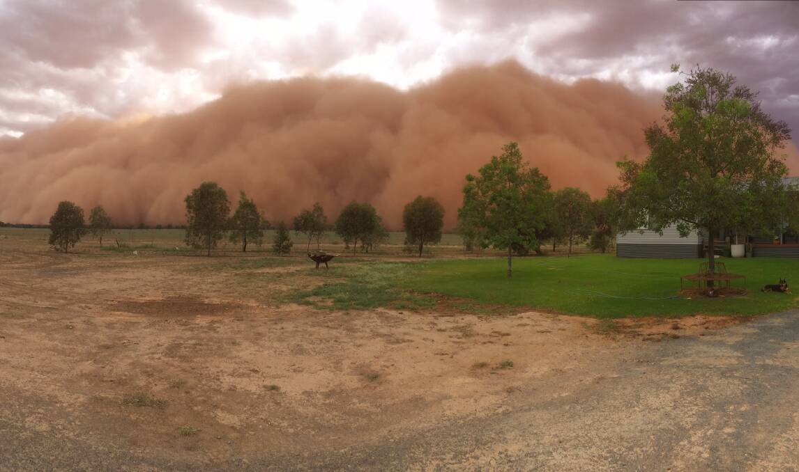 A wall of dust like a mountain approaches Nevertire from Nyngan earlier this year, taken from the Pulver family's house block.
