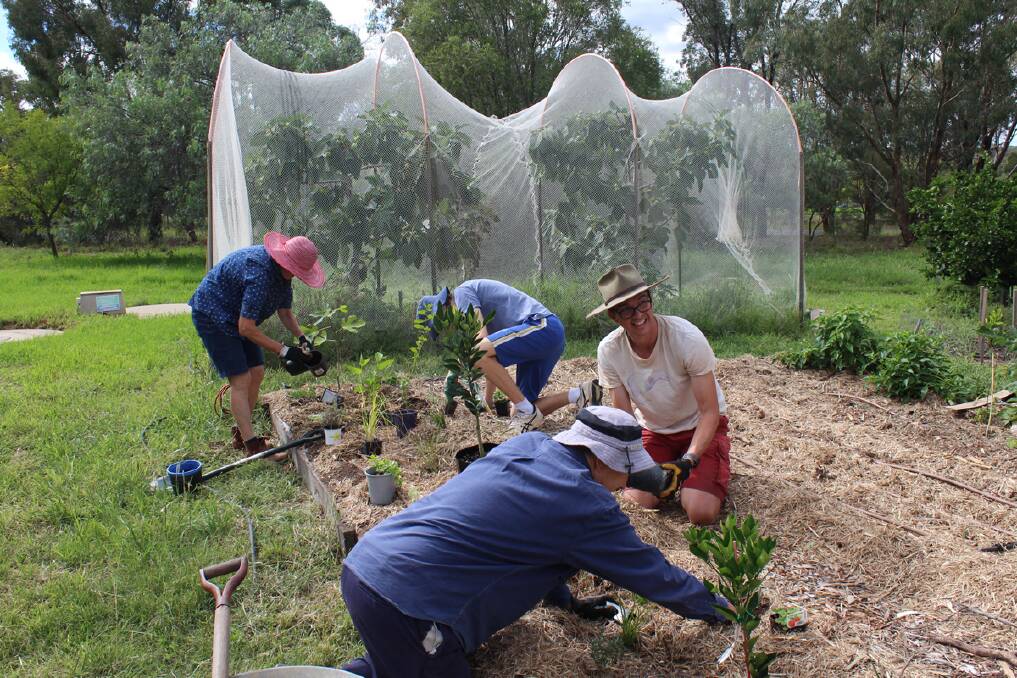 A Transition Dubbo garden dig. Photo: CONTRIBUTED