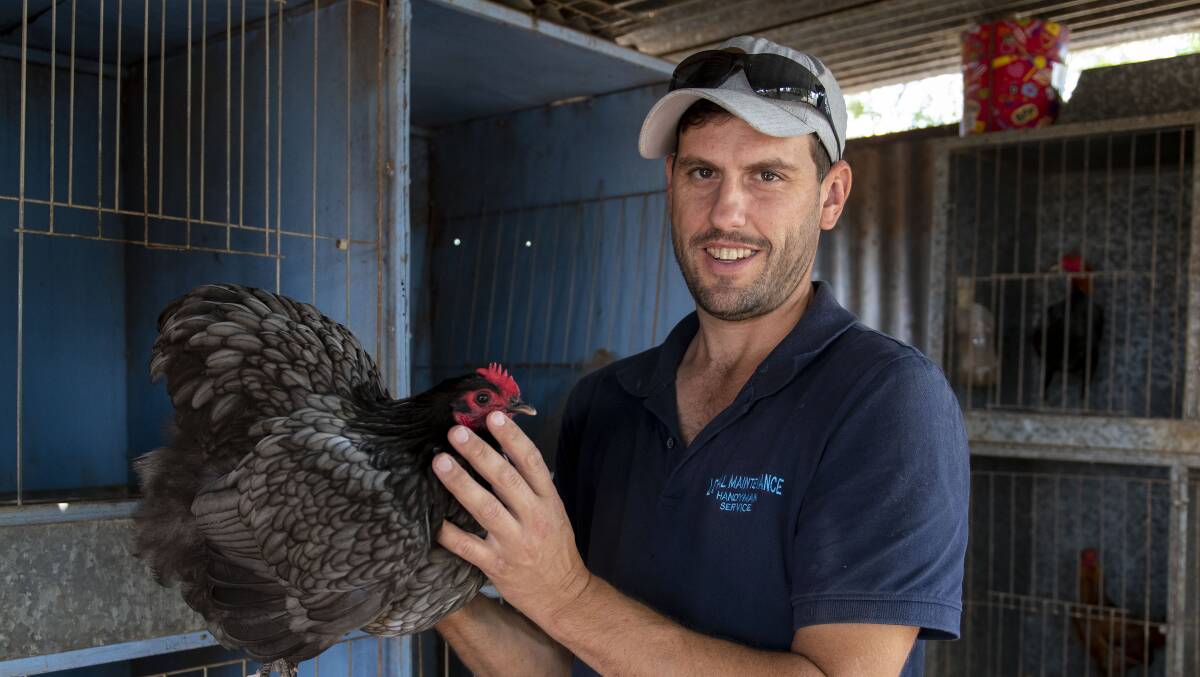 Ryan Harris with one of his competing birds before the 2023 Sydney Royal Easter Show. Picture by Belinda Soole