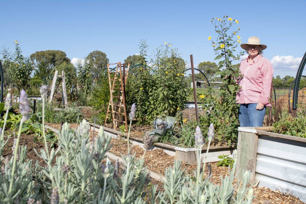 Belinda Edmondson, president of OEC Community Garden Dubbo, says there is a special buzz in the air when the season turns cooler. Picture by Belinda Soole