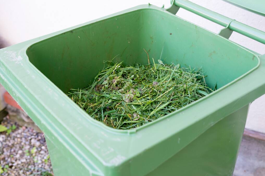 In Dubbo Regional Council area, you can put food and lawn clippings in the green bin. Photo: SHUTTERSTOCK