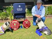 Mick Hudson, sheep dog trial compettior, with two of his border collies and their winning ribbons. Picture supplied