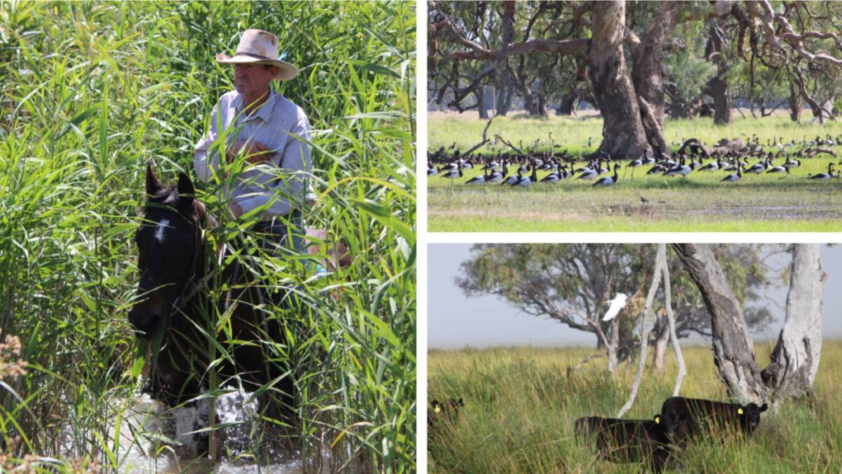Garry Hall, president of the Macquarie Marshes Environmental Landholders Association, says generational farming is all about trying to leave the land in a better condition. Pictures by Leanne Hall