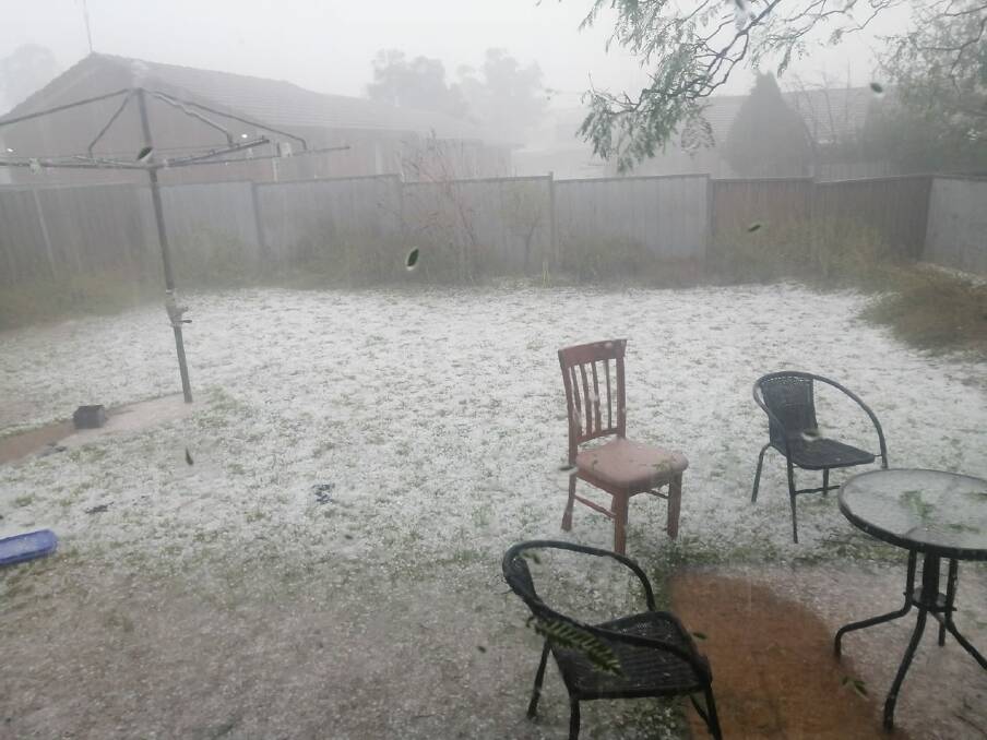 Gardens turned into slush during last Thursday's storm in Dubbo. Picture by Amy Frail 