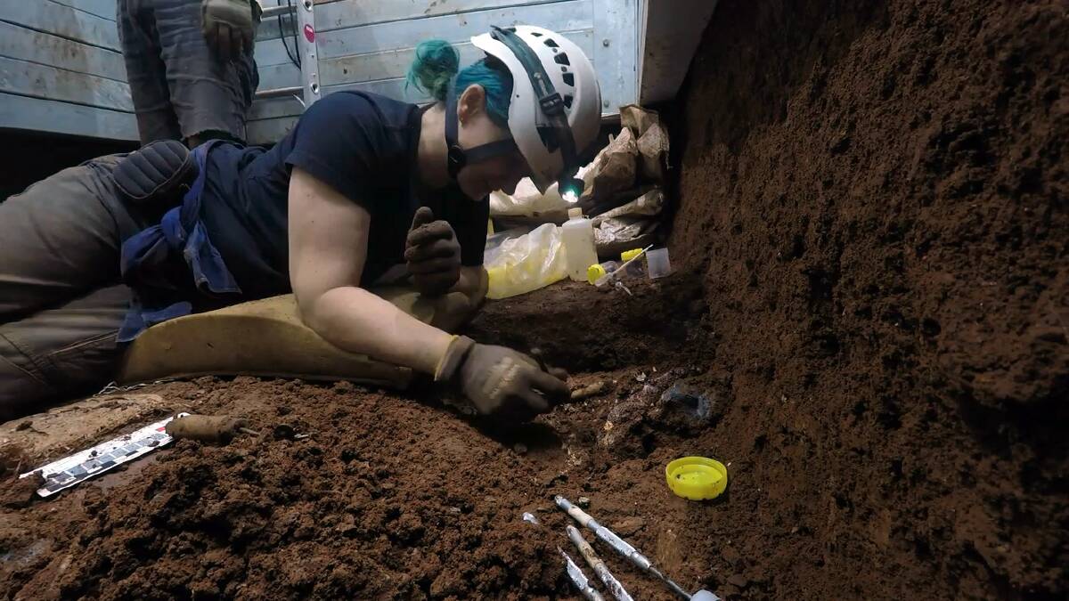 Flinders University research staffer Dr Diana Fusco uncovering fossils at Wellington Caves. Picture supplied