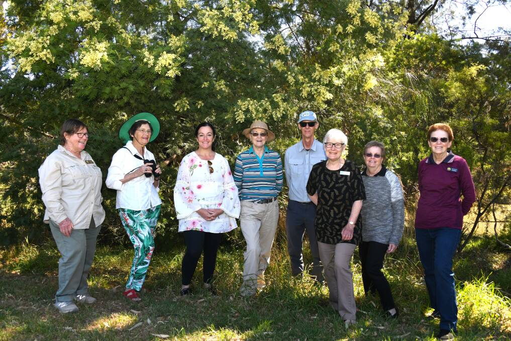 Anne McAlpine, Di Clifford, Mel Hancock, Janice Hosking, Rob Quinan, Elsie Howe, Joan Rheinberger with Denise Latta - members of the Dubbo Field Naturalist and Conservation Society, at the wattle grove along Macquarie-Wambuul River. Picture by Amy McIntyre