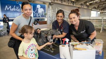 Mahalia and Ella-Grace Doolan with puppy Willow, alongside vet Charlen Carig, and vet nurse Sandra Hartley, at the AWL mobile vet truck in Dubbo. Picture by Belinda Soole